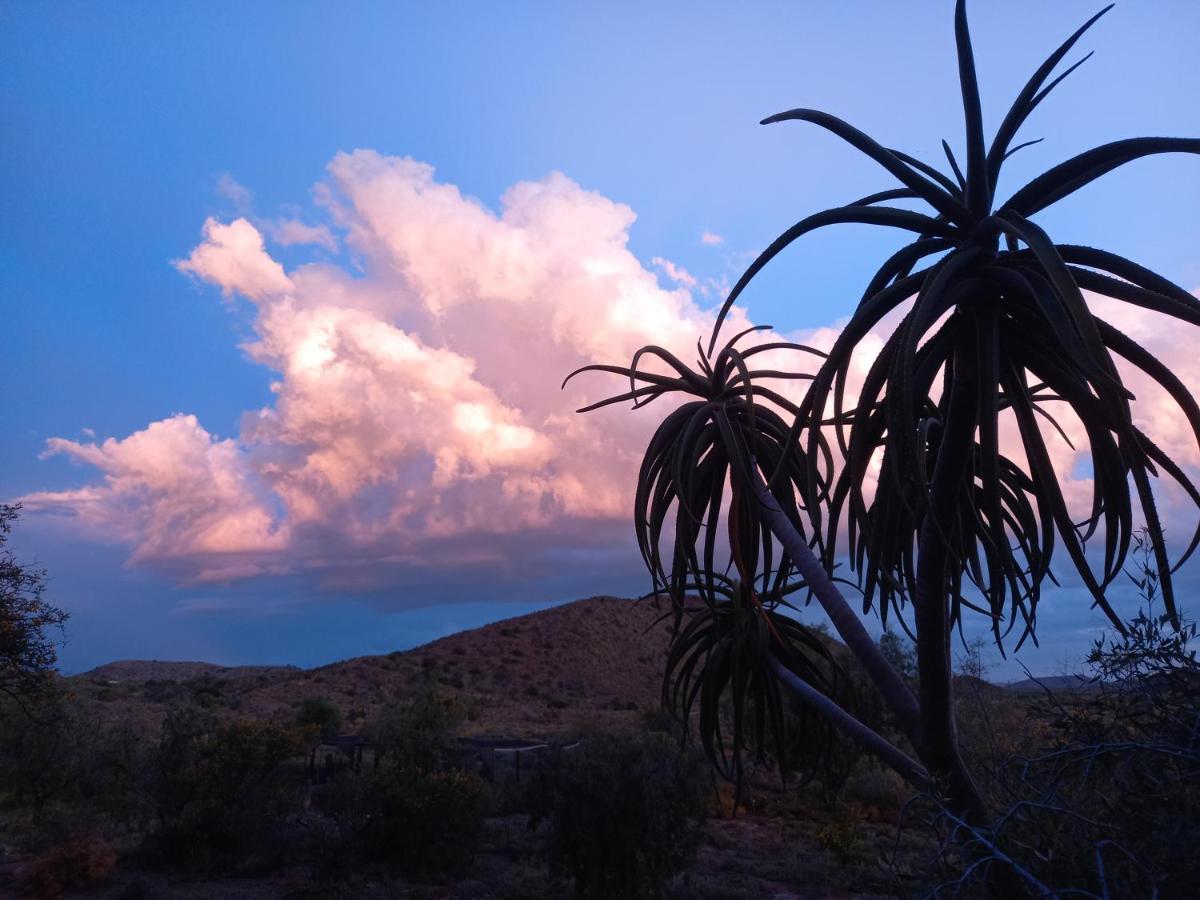 Wolverfontein Karoo Cottages Ладисмит Екстериор снимка