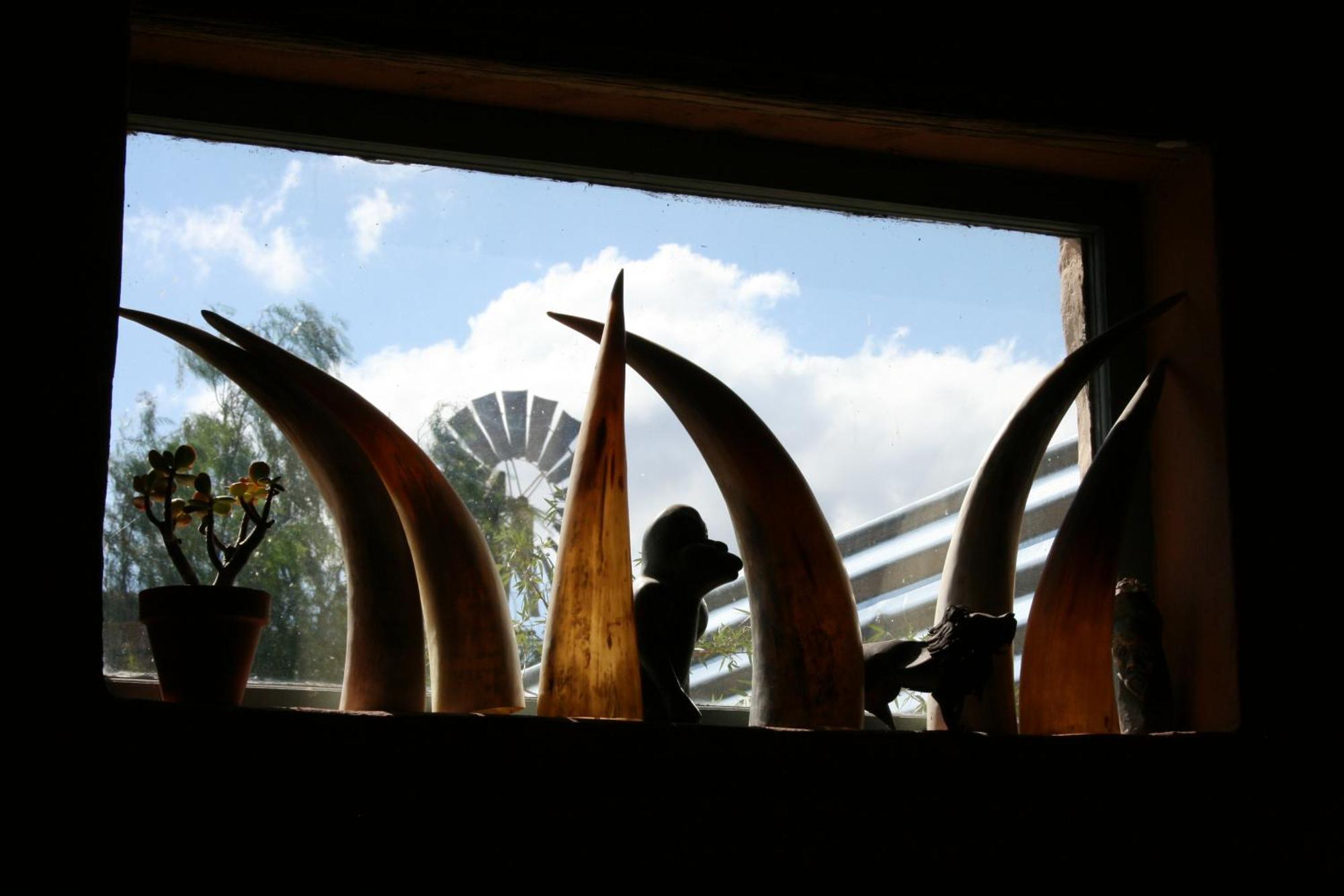 Wolverfontein Karoo Cottages Ладисмит Екстериор снимка