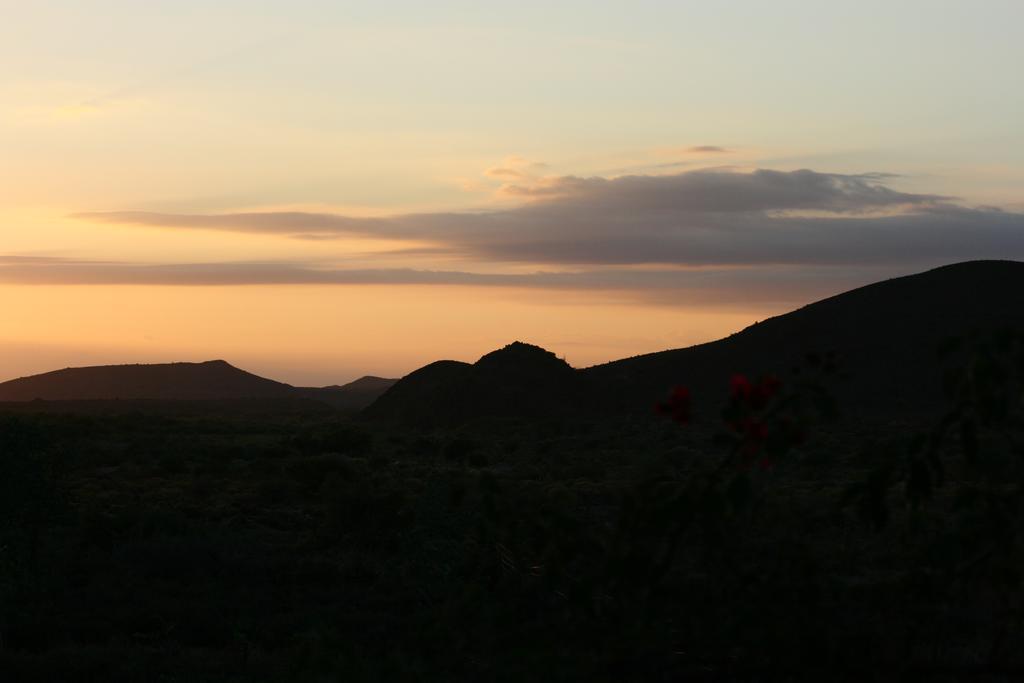 Wolverfontein Karoo Cottages Ладисмит Екстериор снимка