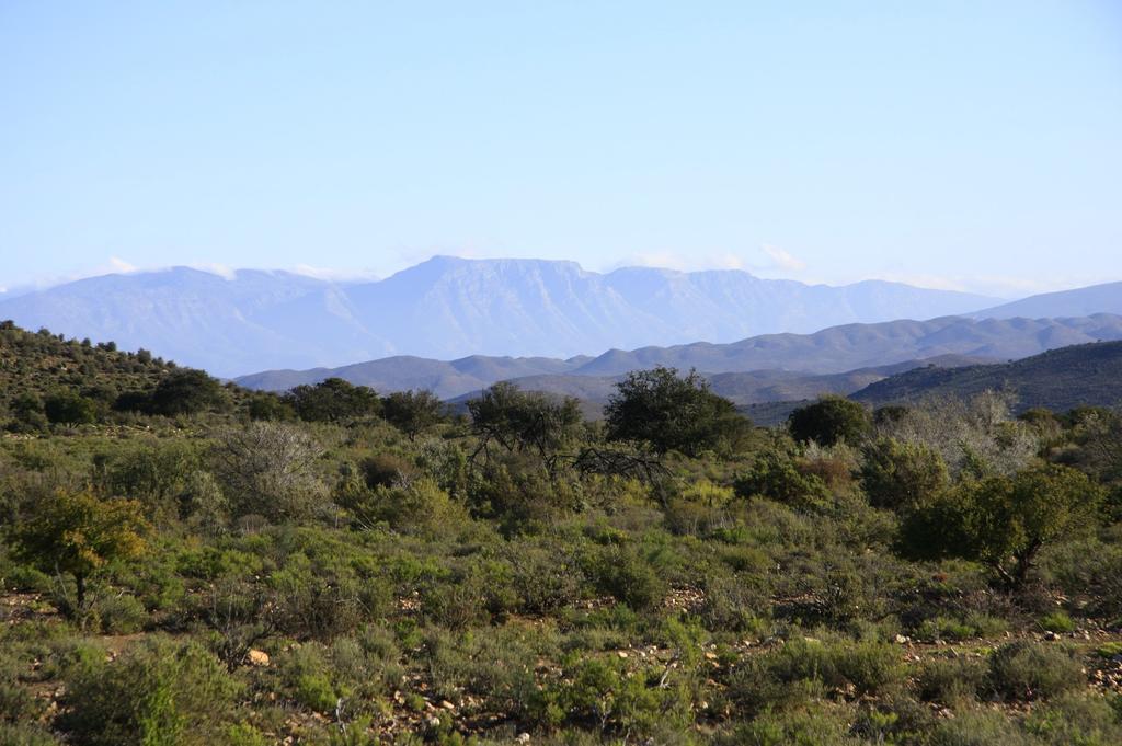 Wolverfontein Karoo Cottages Ладисмит Екстериор снимка