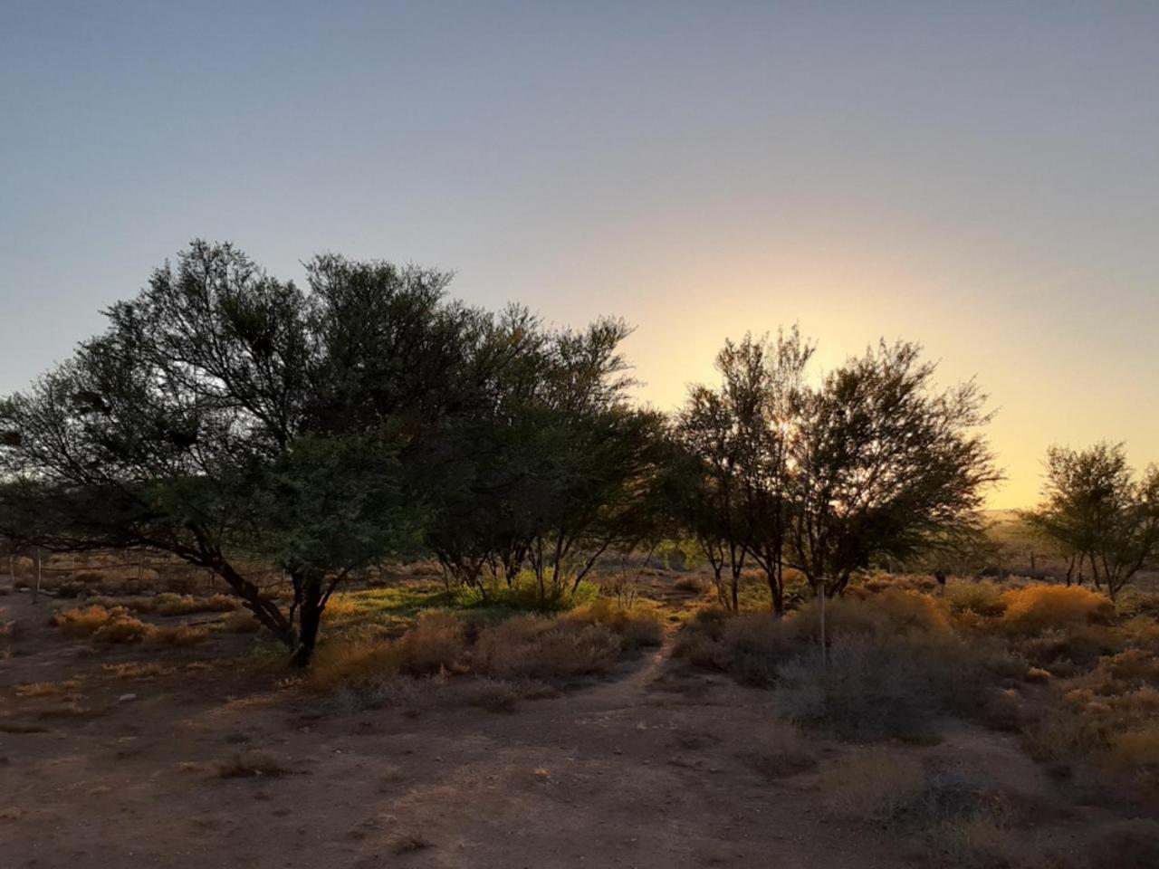 Wolverfontein Karoo Cottages Ладисмит Екстериор снимка